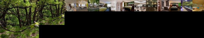 Boshotel - Vlodrop Roermond