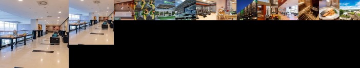 Holiday Inn Belgrade