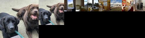 Laurel Bank Guest House