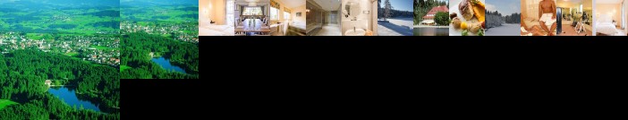 Hotel Waldsee Lindenberg im Allgau