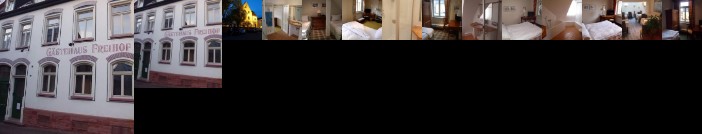 Hotel Freihof Wiesloch