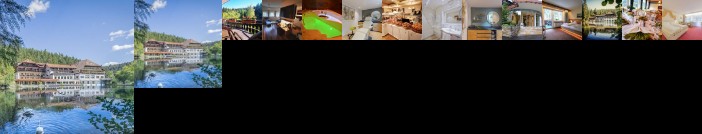 Hotel Langenwaldsee