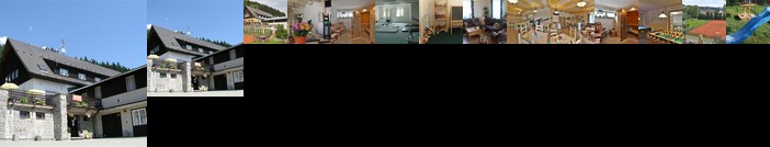 Penzion Bobesova bouda