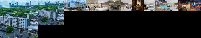 Holiday Inn Niagara Falls-Scenic Downtown