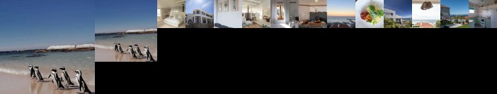 Chartfield Guesthouse