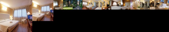 Best Western Air Hotel Linate