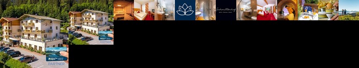 Hotel Der Schmittenhof