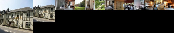 Parkhotel Villa des Effats Vielsalm