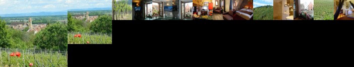 L'Hostellerie du Chateau Eguisheim