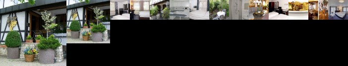 Hotel Gasthof Traube Kernen