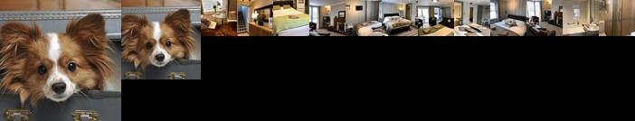 Ei8ht Brighton Apartments - Guest house