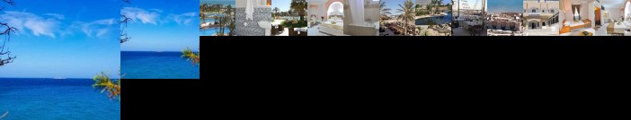 Hotel Les Palmes d'Or