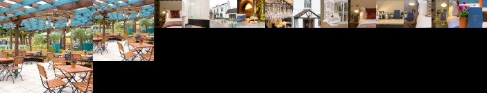 The Curious Pig in the Parlour