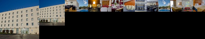 VIP Executive Santa Iria Hotel