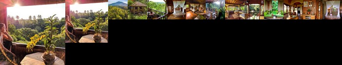 Sarinbuana Eco Lodge