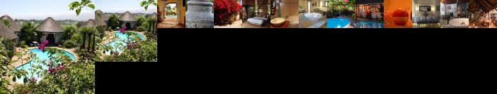 French Lodge International