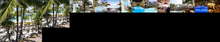 Ambassador In Paradise