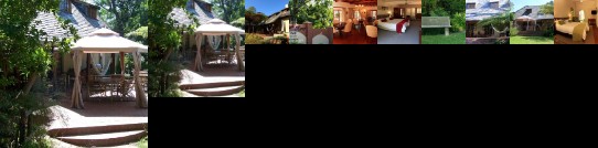 Mongoose Manor Port Elizabeth