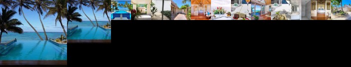 Little Polynesian Resort