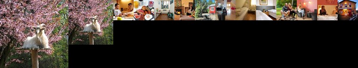 Danhostel Sonderborg Vollerup