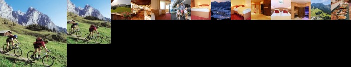 Gasthaus-Landhotel Traunstein