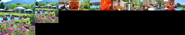 Aux Chants Des Oiseaux