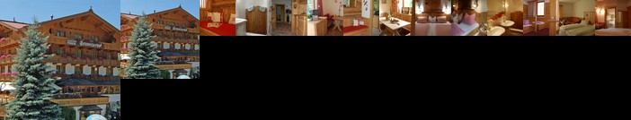 Hotel Schweizerhof Wildschonau