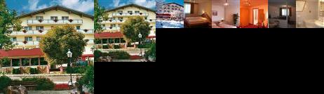 Grunen Baum Hotel Vils