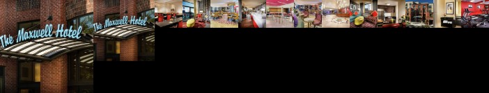 Staypineapple at The Maxwell Hotel