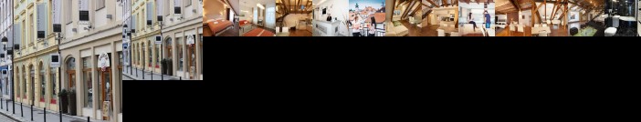 Residence U Cerne Veze Ceske Budejovice