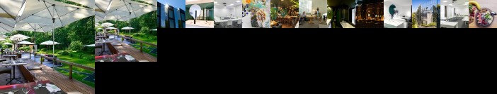 City Garden Hotel Zug