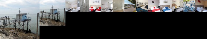 Le Heron Cendre La Tremblade