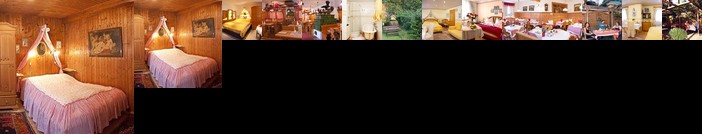 Hotel Schneider-Gossl