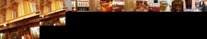 Hotel Pegas Brno