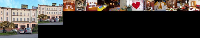 Hotel Central Cesky Tesin