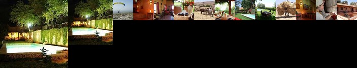 Dar Zitoune - Guest House