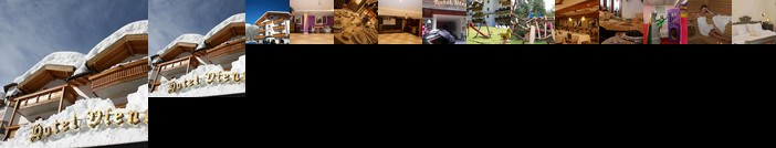 Hotel Vienna Tonadico