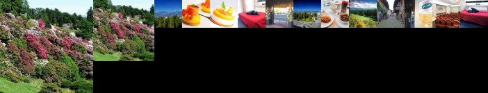 Hotel Michelangelo Biella