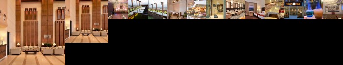 Comfort Inn Tulip Heights