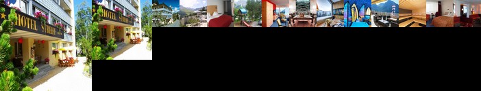Hotel Streiff - The Excelsior