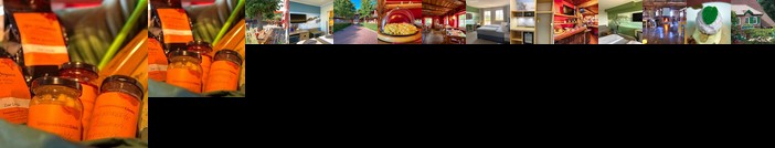 Hotel & Gasthof Zur Linde Middelhagen