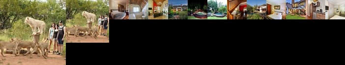 Villa Dor Guest House