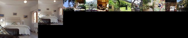 Forest Creek Lodge & Spa