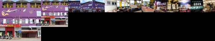 OYO 11883 Hotel Purple Inn