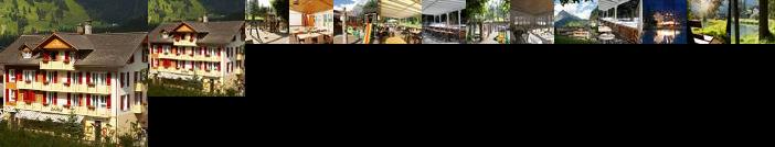 Hotel Des Alpes Kandersteg