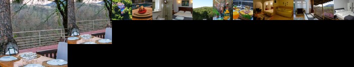 Kaltur Boutique Hotel Villa