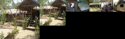 Manaus Jungle Hostel