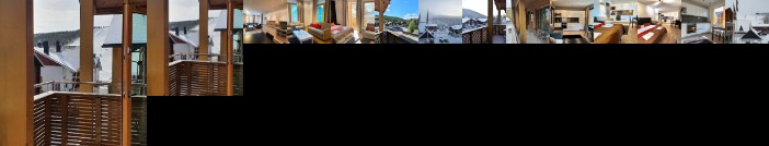 Levi Suites Levi Gold