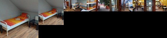 Vadgesztenye Youth Hostel