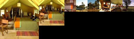 Lemala Mara Tented Camp Serengeti